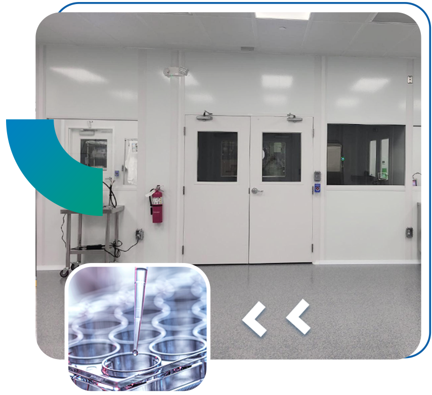 LSL-Cold Storage and Distribution